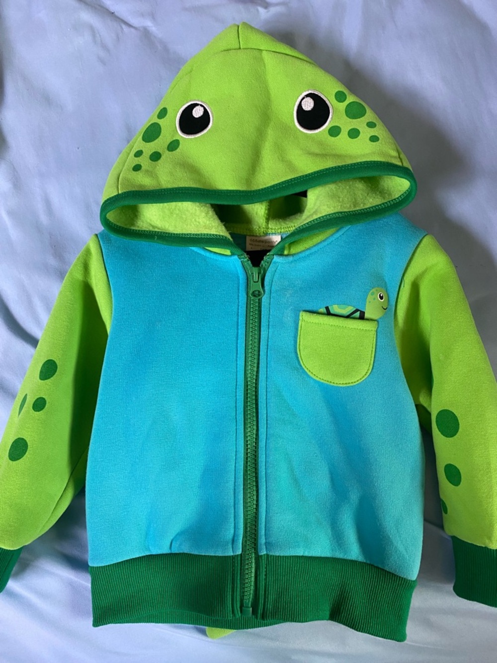 Doodle Pants Green & Blue Turtle Hoodie